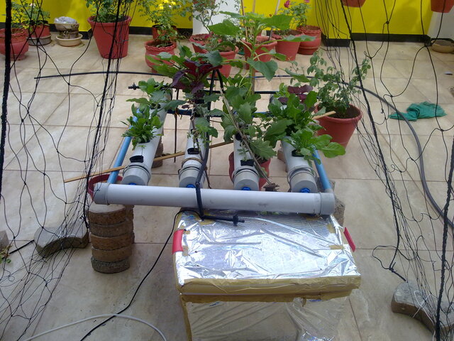 Hydroponics-NFT-overview-640px.jpg