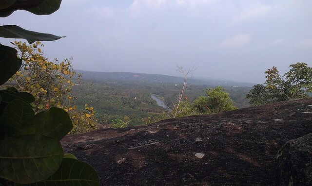 A photo taken from atop a hill - shows a scenetic view of a forest with a small stream in between.