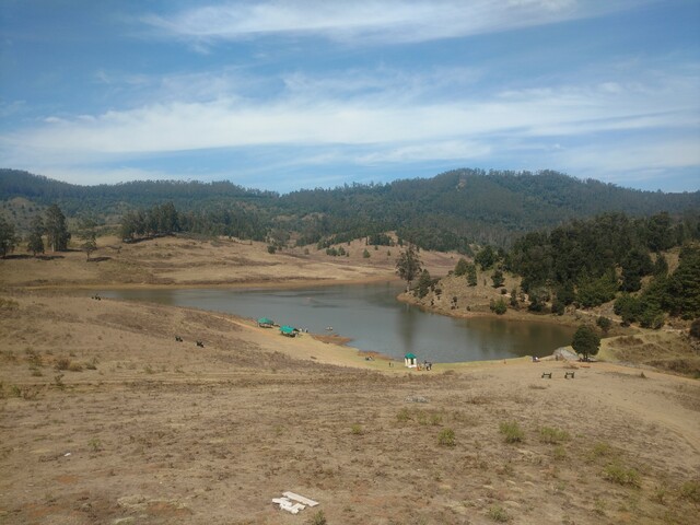 An large open space with dried grass and a small pond in the center