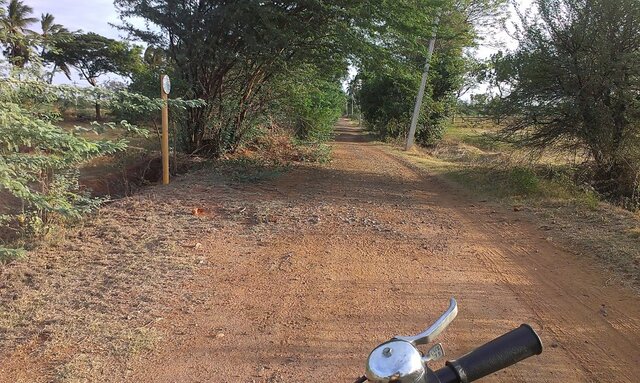 Kallanai-NITT-640px.jpg